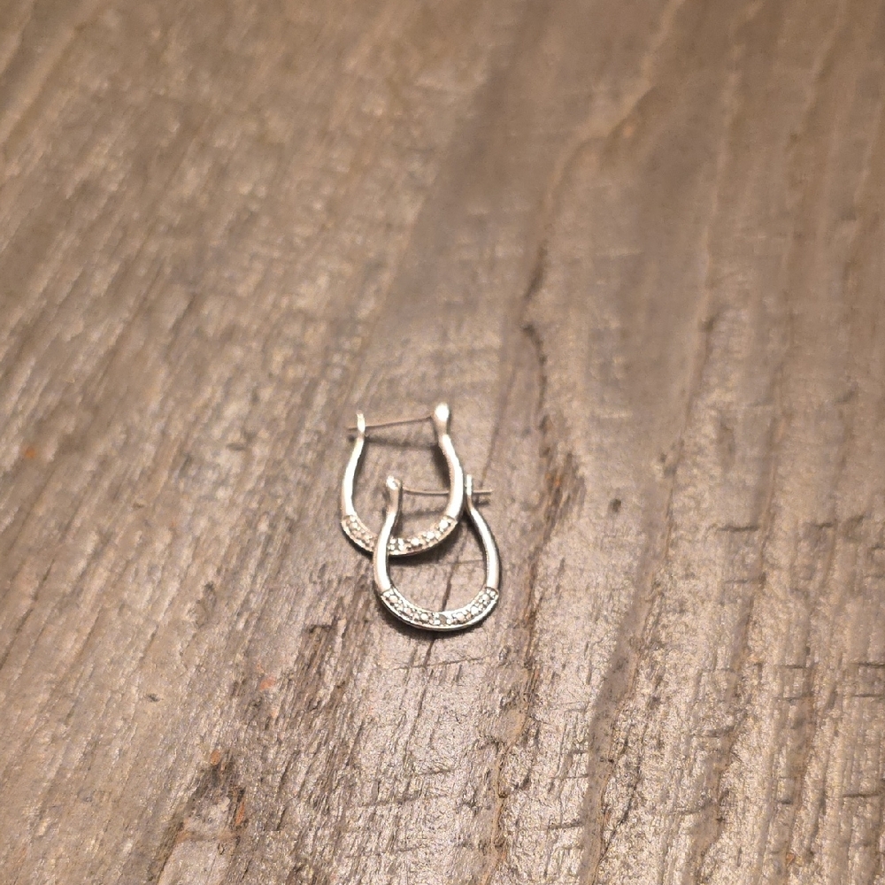 Sterling Silver  Pavé Hoop Earrings - Women Jewelry